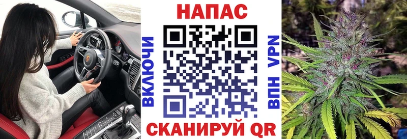Канабис планчик Кузнецк